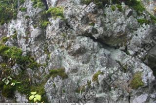 rock mossy