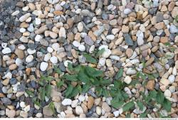 Photo Textures of Gravel