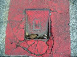 Photo Textures of Manhole Cower