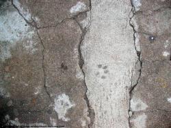 Damaged Concrete