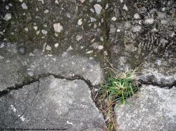 Damaged Concrete