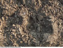 Photo Textures of Grounds Soil 