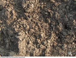 Photo Textures of Grounds Soil 