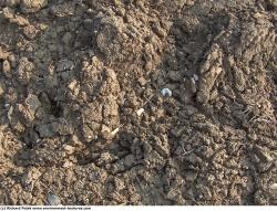 Photo Textures of Grounds Soil 