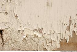 Photo Textures of Wood 