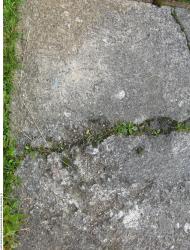 Damaged Concrete