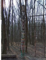 Photo Texture of Totems