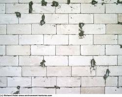 Photo of Mixed Textures