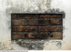 Photo of Mixed Textures