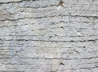 Photo Texture of Wall Stucco