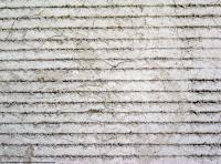 Photo Texture of Wall Stucco