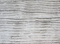 Photo Texture of Wall Stucco