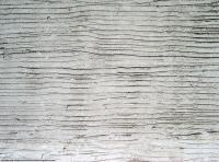 Photo Texture of Wall Stucco