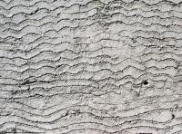 Photo Texture of Wall Stucco