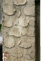 Photo Texture of Wall Stucco