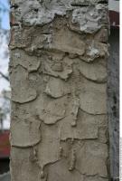 Photo Texture of Wall Stucco