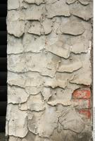 Photo Texture of Wall Stucco