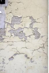 Walls Plaster Damaged