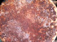 Photo Texture of Metal Plain Rusted 