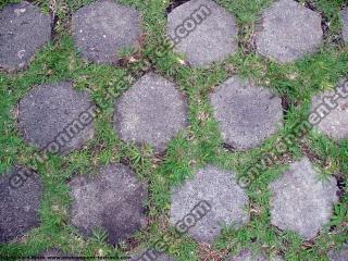 Photo Texture of Overgrown Floor