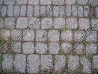 Photo Texture of Overgrown Floor