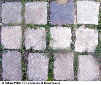 Photo Texture of Overgrown Floor