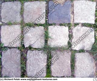 Photo Texture of Overgrown Floor