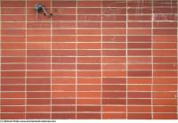 Photo Texture of Plain Tiles