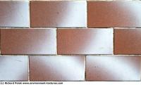 Photo Texture of Plain Tiles