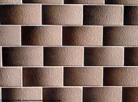 Photo Texture of Patterned Tiles