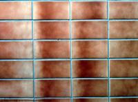 Photo Texture of Plain Tiles