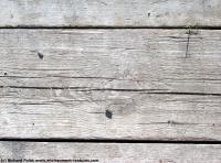 photo texture of wood planks bare