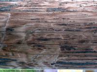 photo texture of wood bare