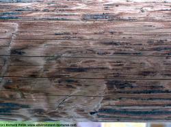 Photo Textures of Wood Bare