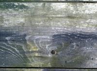 photo texture of wood bare