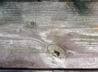 photo texture of wood bare