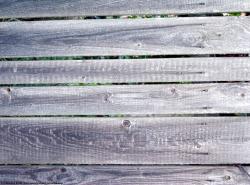 Photo Textures of Wood Bare