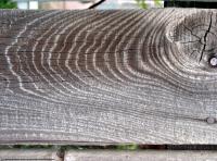 photo texture of wood bare