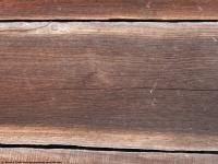 photo texture of wood bare