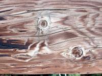 photo texture of wood bare