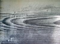 photo texture of wood bare 