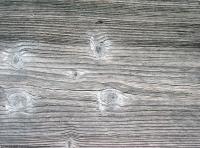 photo texture of wood bare