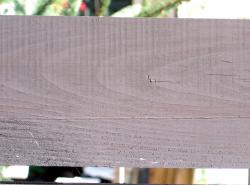 Photo Textures of Mixed Wood