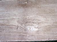 photo texture of wood bare 