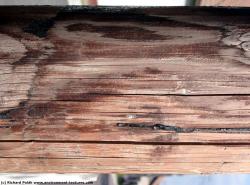 Photo Textures of Mixed Wood