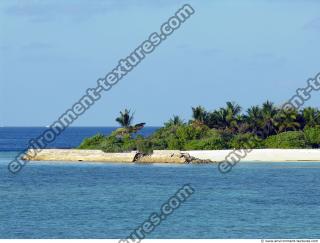 Photo Reference of Background Beach