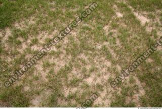 Photo Texture of Grass