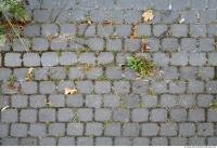 Photo Texture of Overgrown Floor