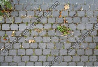 Photo Texture of Overgrown Floor