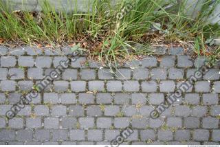 Photo Texture of Overgrown Floor